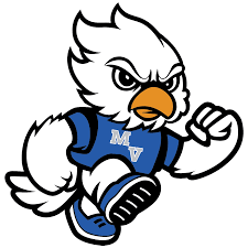 Bildergebnis für MVCS