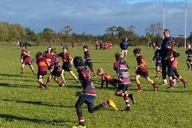 Image result for Dursley Rugby Football Club