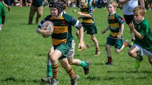 Image result for Barns Green RFC