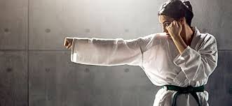 Image result for Windsor Higashi Karate Club