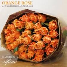 「花薔薇エルフ」の画像検索結果