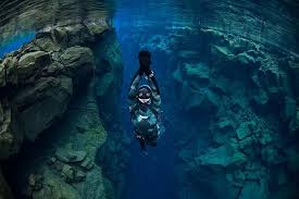 Image result for Crystal Freedivers (London)
