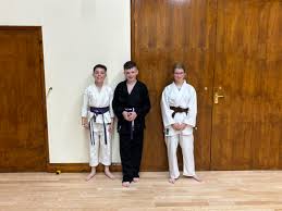 Image result for Junsui Shotokan Karate Do