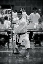 Image result for Springwood Karate