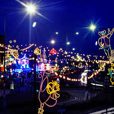 Image result for Blackpool Lights Ladies Basketball Club