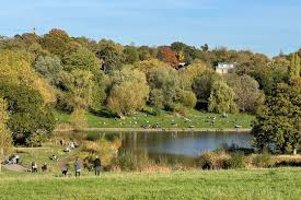 Image result for Hampstead Heath Hockey