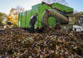 Image result for Leaves Green Bowmen