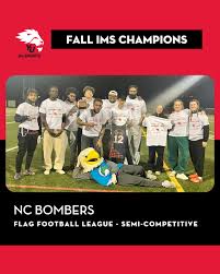 Image result for York University Dodgeball Club