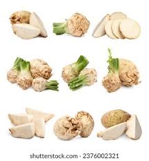 Image result for Sellerie