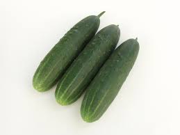 Image result for Gurke