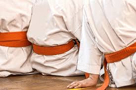 Image result for Malvern Taijutsu Kai Self Defence