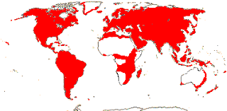 Attēlu rezultāti vaicājumam “Rosaceae”