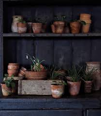 Attēlu rezultāti vaicājumam “Galanthus nivalis bud”