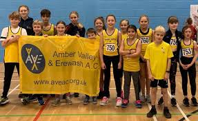 Image result for Amber Valley Ac