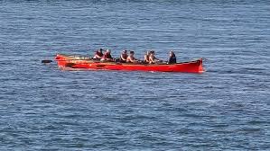 Image result for Appledore Pilot Gig Club