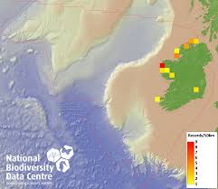 Attēlu rezultāti vaicājumam “Nardia geoscyphus”