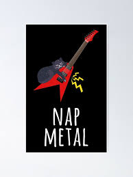 Image result for Cat sleeping in guitar