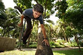 Image result for Parkour Alliance