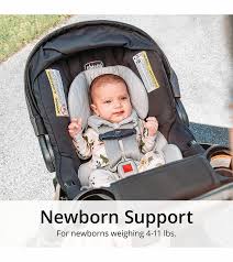 Znalezione obrazy dla zapytania chicco