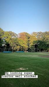 Image result for Follifoot Cc