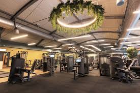 Image result for David Lloyd Senior Badminton Club