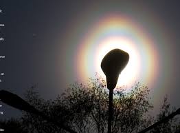 Attēlu rezultāti vaicājumam “pollen corona”