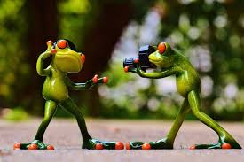 Image result for bilder