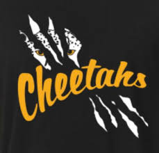 Image result for Cheetahs Softball Team