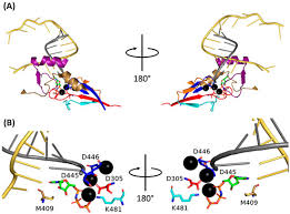 Image result for ве...iw=1280