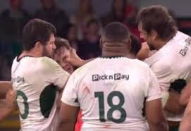 Image result for Bj Wanderers Badminton Club