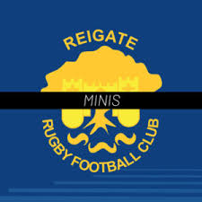 Image result for Reigate Rugby Football Club