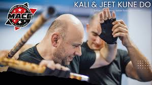 Image result for Martial Art Centre of Excellence