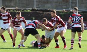 Image result for Stirling Wolves