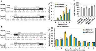 Image result for Generation 2 Ttc