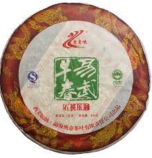 Image result for 2009早春