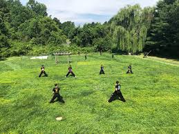 Image result for Kuk Sool Won Of Botesdale