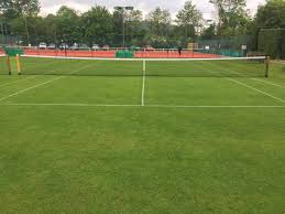 Image result for Reigate Badminton Club