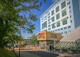 Image result for Bradford University Octopush Club