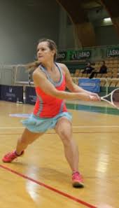 Image result for Haydock Hunters Speedminton Club