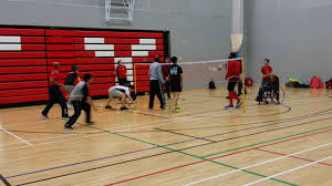 Image result for Crofton Arrows Badminton Club