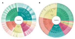 Attēlu rezultāti vaicājumam “Alloeotomus sp.”