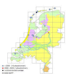 Attēlu rezultāti vaicājumam “Moerckia hibernica”