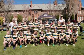 Image result for Tamworth Rugby Union Football Club