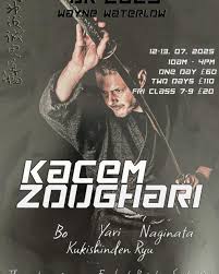 Image result for Bujinkan Dojo Seijitsu