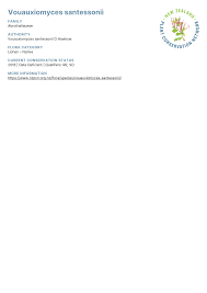 Attēlu rezultāti vaicājumam “Vouauxiomyces santessonii”