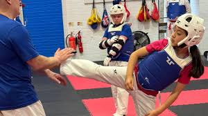 Image result for Quest Taekwondo