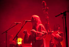 Image result for Karin Dreijer Andersson