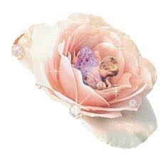 http://t0.gstatic.com/images?q=tbn:ANd9GcQYZOxkc6gE_vGEX5ecW5VLG0s9WszuBJxJveCsBS6WARYgCrrE