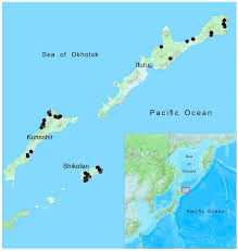 Attēlu rezultāti vaicājumam “Leiocolea rutheana cells”