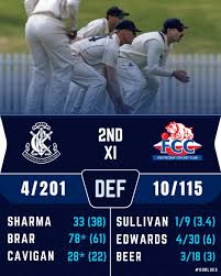 Image result for Carlton Cricket Club